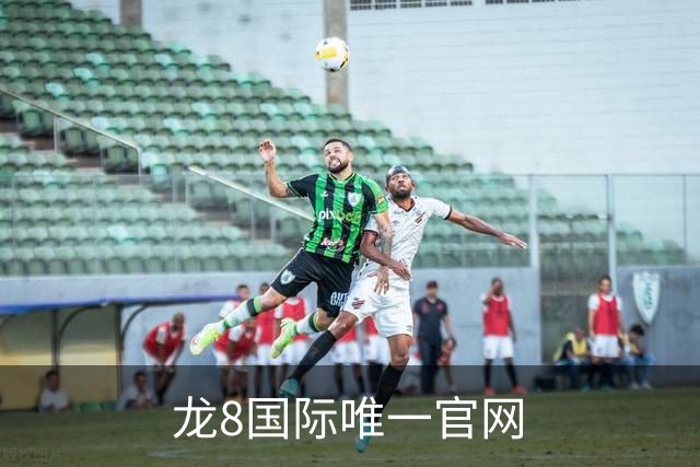 专业龙8国际唯一官网平台